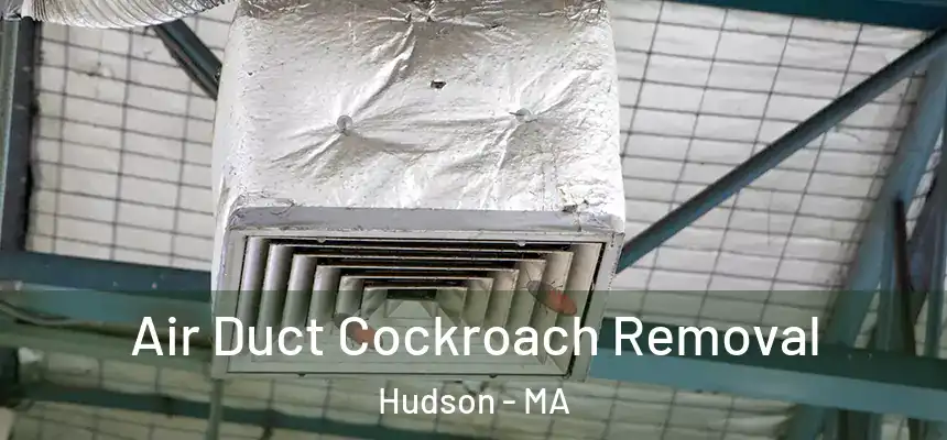  Air Duct Cockroach Removal Hudson - MA