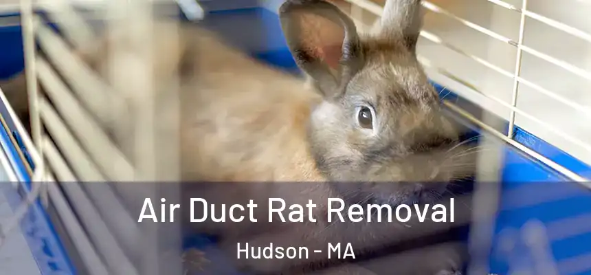  Air Duct Rat Removal Hudson - MA