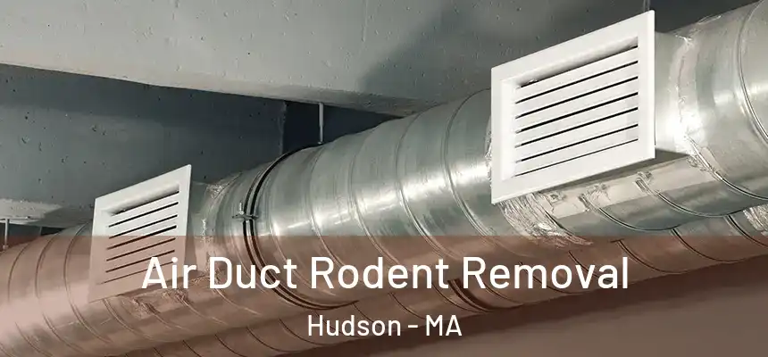 Air Duct Rodent Removal Hudson - MA