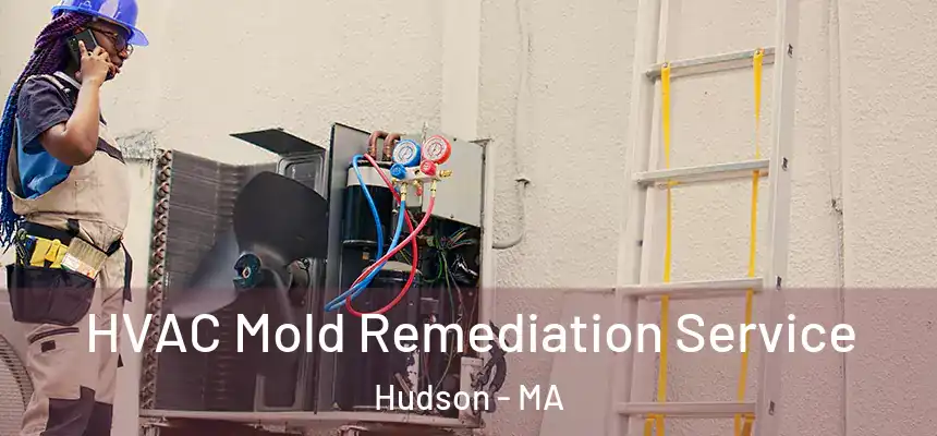 HVAC Mold Remediation Service Hudson - MA