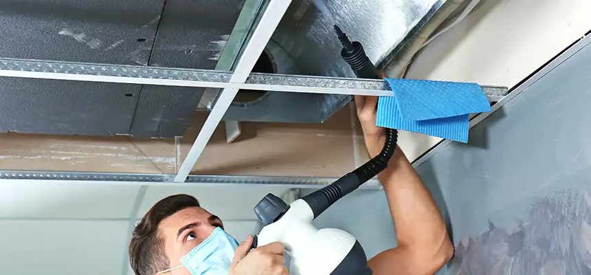 Our Air Duct Rodent Removal Services in Hudson, MA