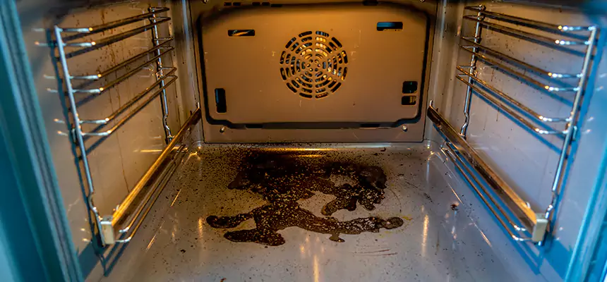 Our Dryer Vent Mold Cleaning Services in Hudson, MA