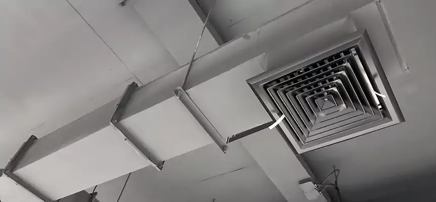 Our Rodent Droppings In Vents Services in Hudson, MA