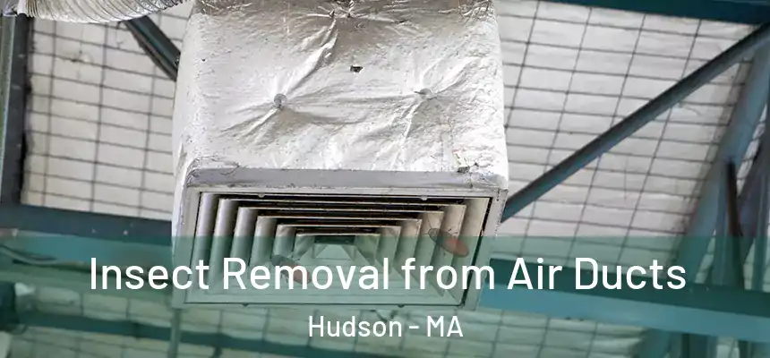  Insect Removal from Air Ducts Hudson - MA