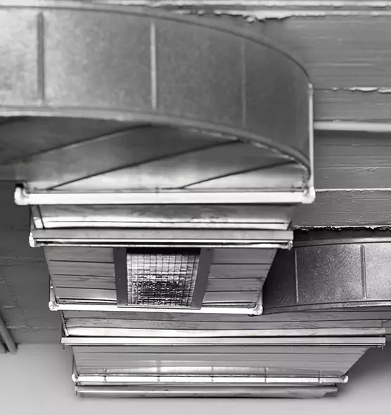 Professional Air Duct Pest Removal in Hudson, MA