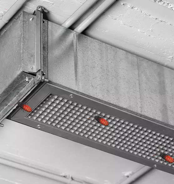 Affordable Insect Removal from Air Ducts in Hudson, MA